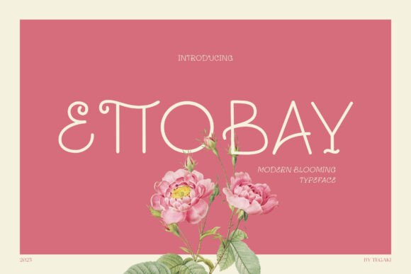 Ettobay: A Sans Serif Font That Brings Campaign Visuals to Life