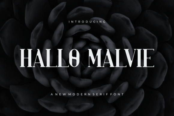 Hallo Malvie: A Modern Serif Font That Elevates Web Design