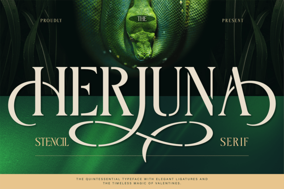 Herjuna: The Serif Stencil Font That Makes Your Campaign Messages Stand Out