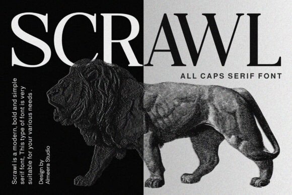 Scrawl: A Refined Serif Font for Editorial Storytelling