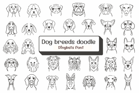 Testing Dog Breeds Doodle as a Display Font for a Boutique Pet Brand Website